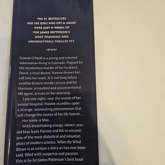 James Patterson When The Wind Blows Little Brown 1st ed. Hardcover 1998 Suspence - Picture 5 of 15